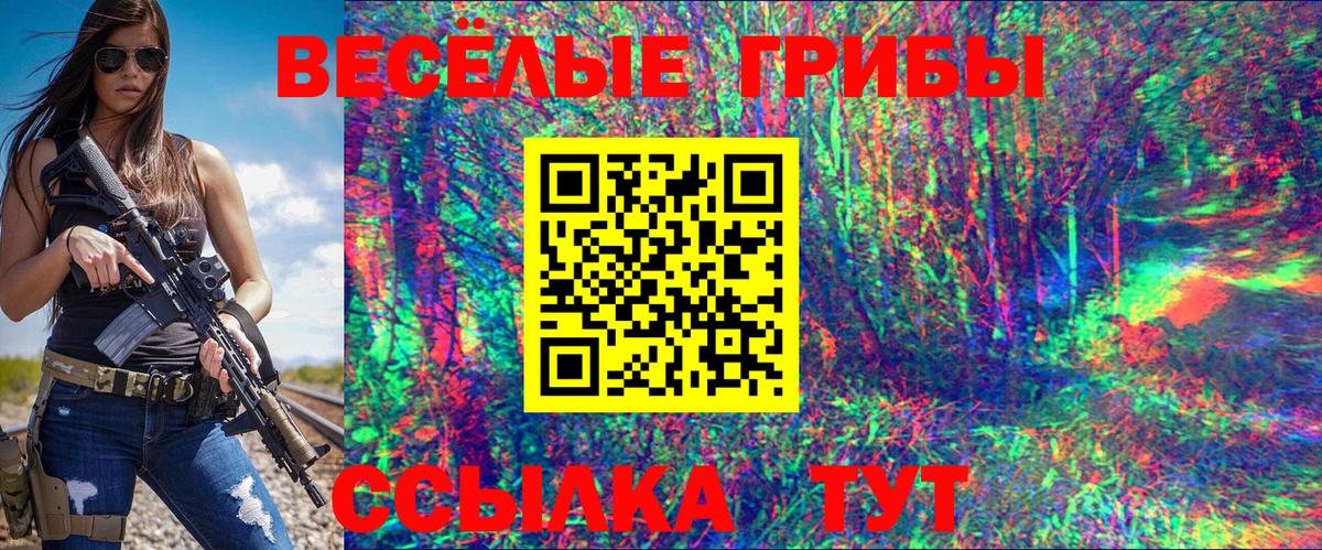 Усть-Илимск  Псилоцибиновые грибы Psilocybe  Вход с VPN 